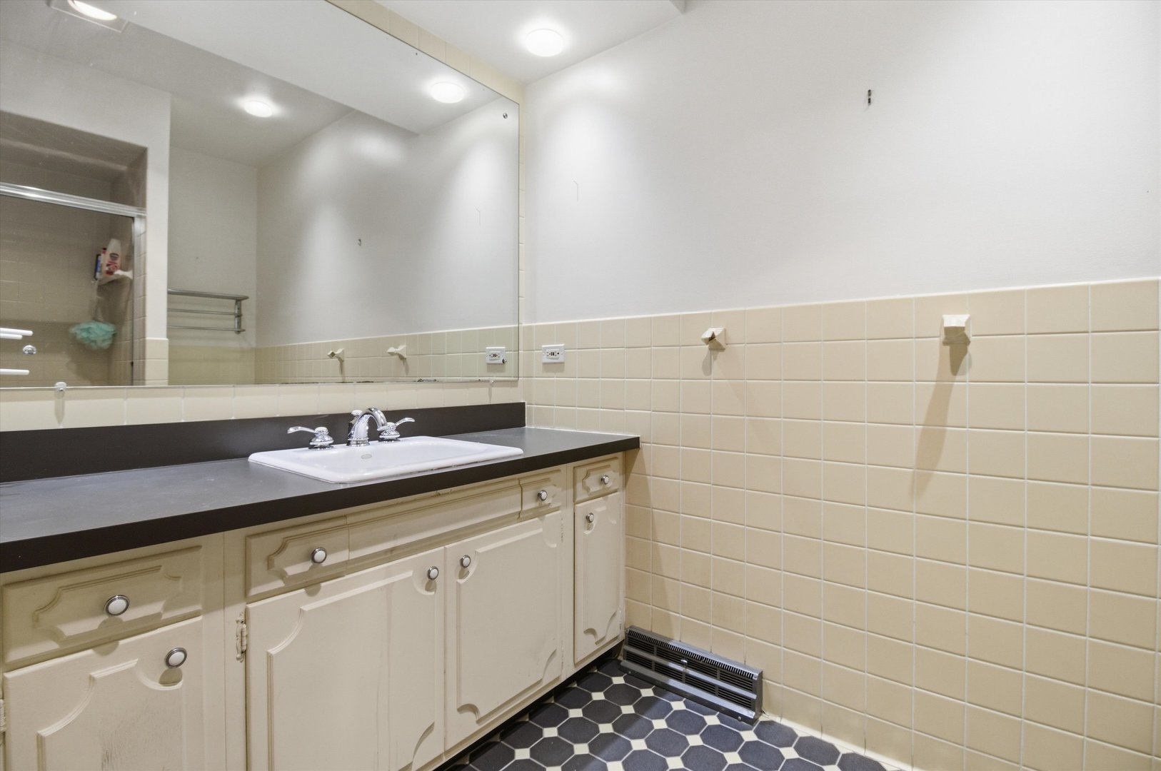 219 North Prospect Street Roselle, IL 60172 - Photo 21 of 34 a bathroom with a sink and a mirror