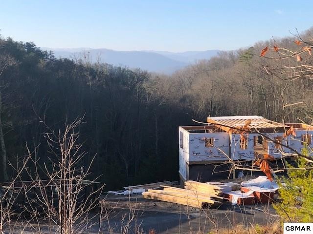 116 Summit Trails Drive Sevierville, TN 37862 - Photo 4 of 13