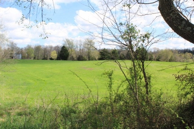 Ac Halltown Road Canmer, KY 42722 - Photo 4 of 5 Gallery Image 4