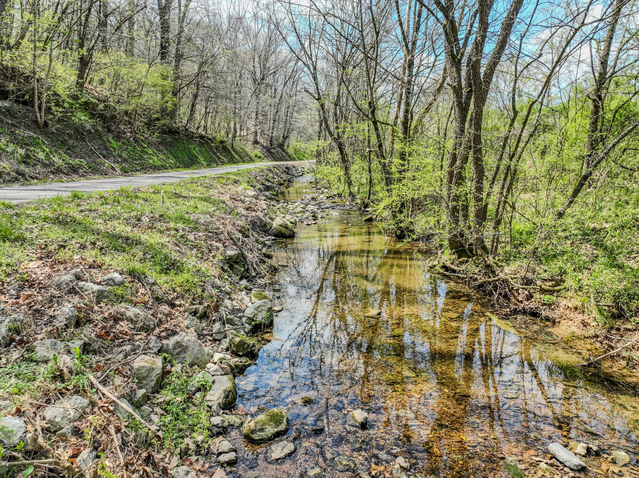 0 Pickard Hollow Road Mount Pleasant, TN 38474 - Photo 4 of 10