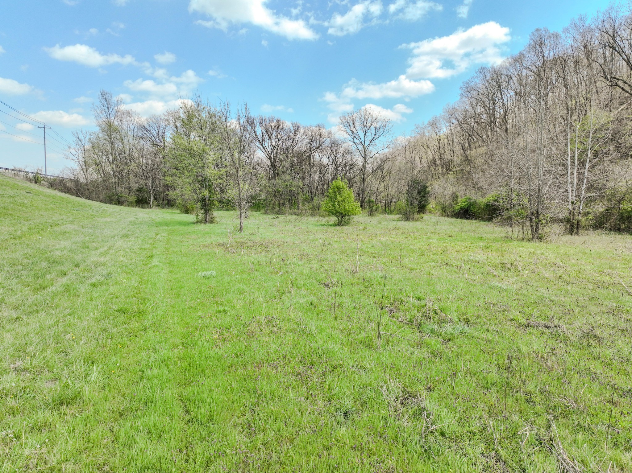 0 Pickard Hollow Road Mount Pleasant, TN 38474 - Photo 5 of 10