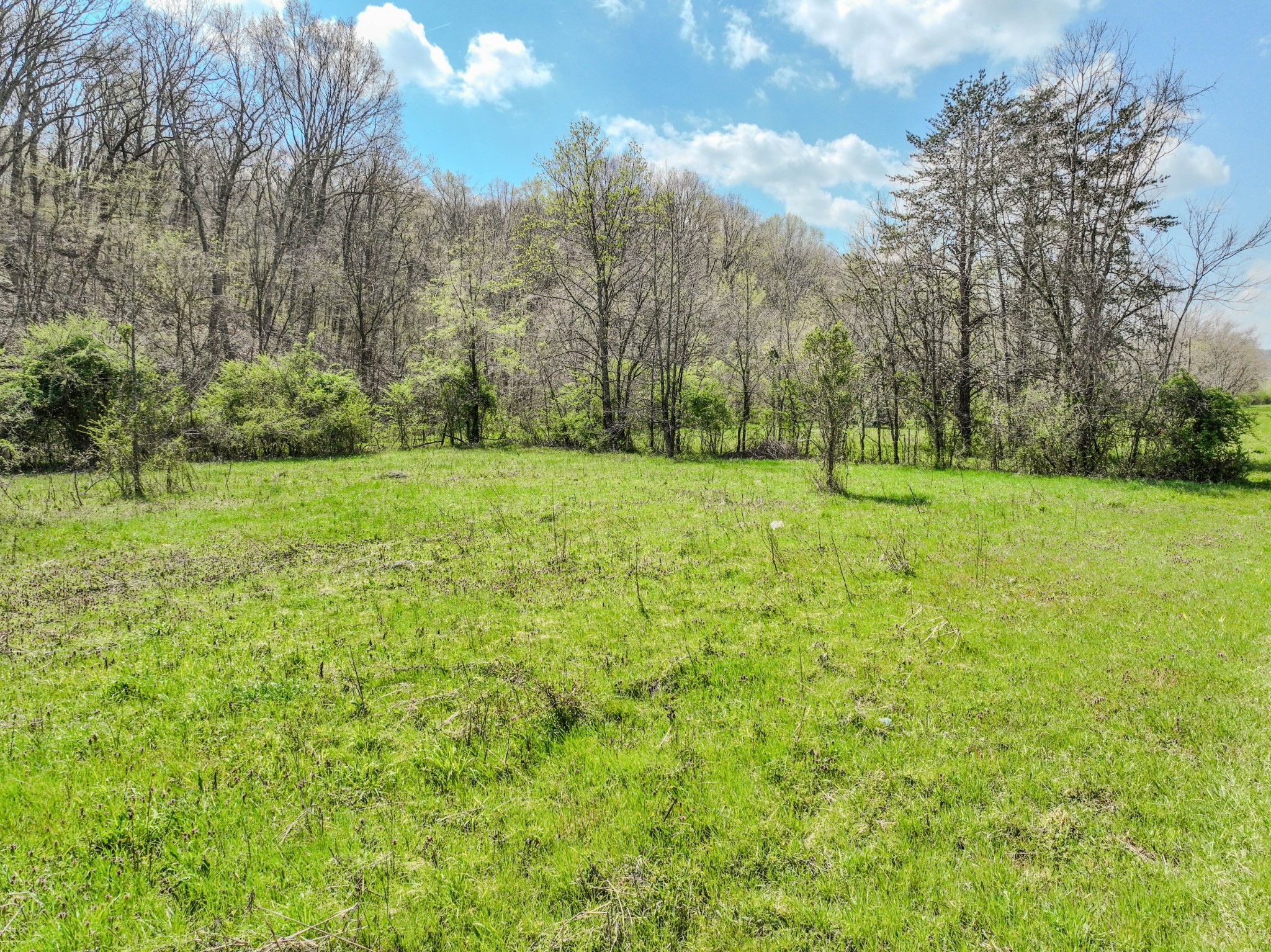 0 Pickard Hollow Road Mount Pleasant, TN 38474 - Photo 6 of 10