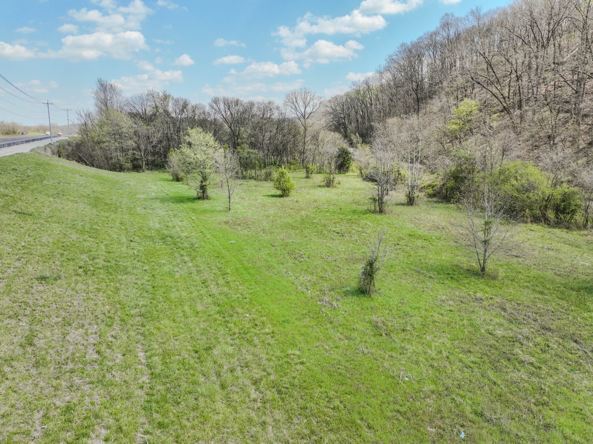 0 Pickard Hollow Road Mount Pleasant, TN 38474 - Photo 8 of 10