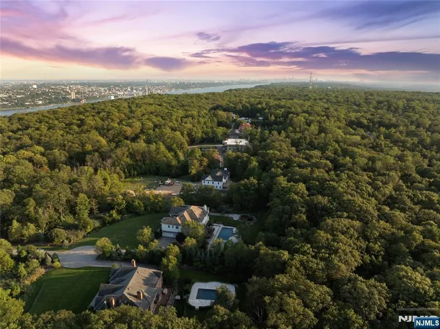 an aerial view of residential houses with outdoor space and trees