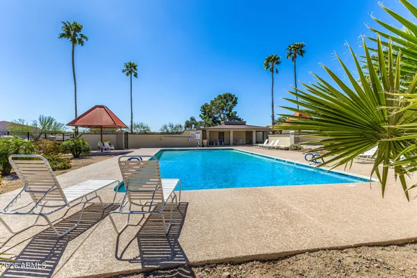 a view of a swimming pool with lounge chairs