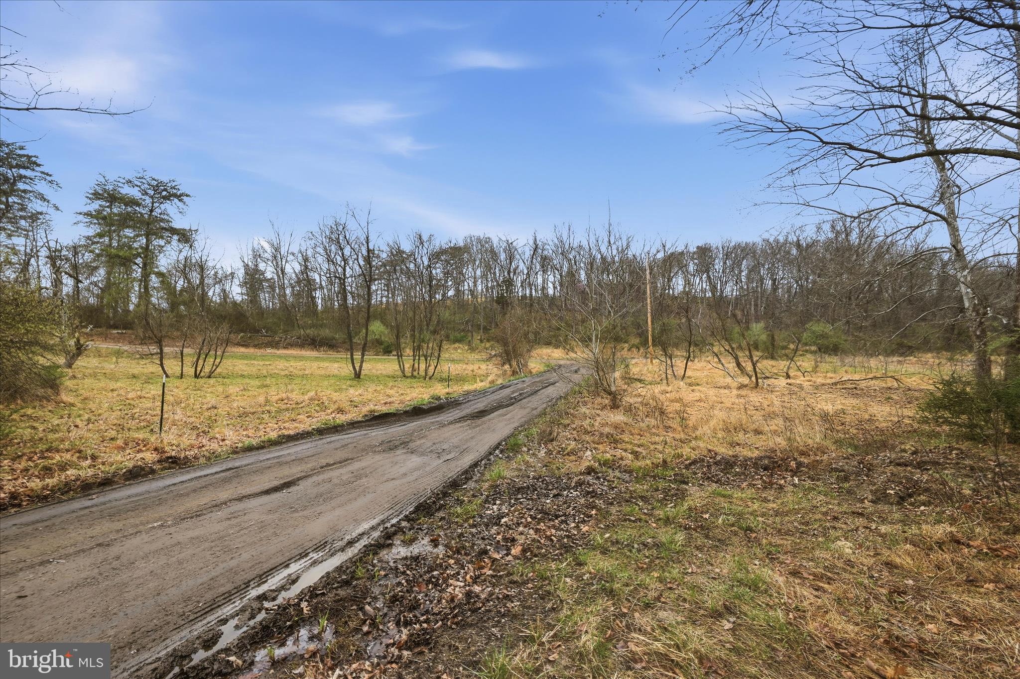950 Stony Hill Road Winchester, VA 22603 - Photo 16 of 30 a view of lake with a yard