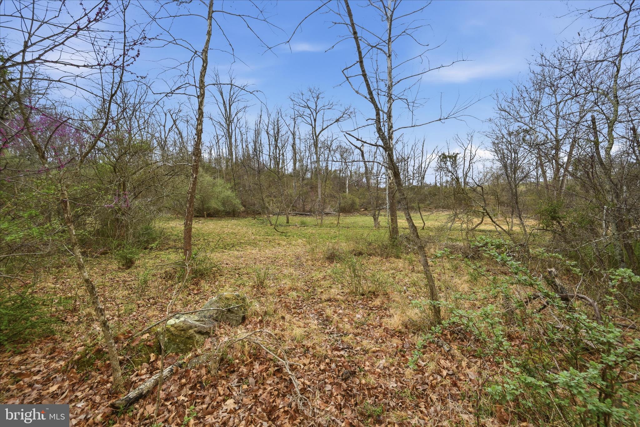 950 Stony Hill Road Winchester, VA 22603 - Photo 17 of 30 a view of a yard with a house