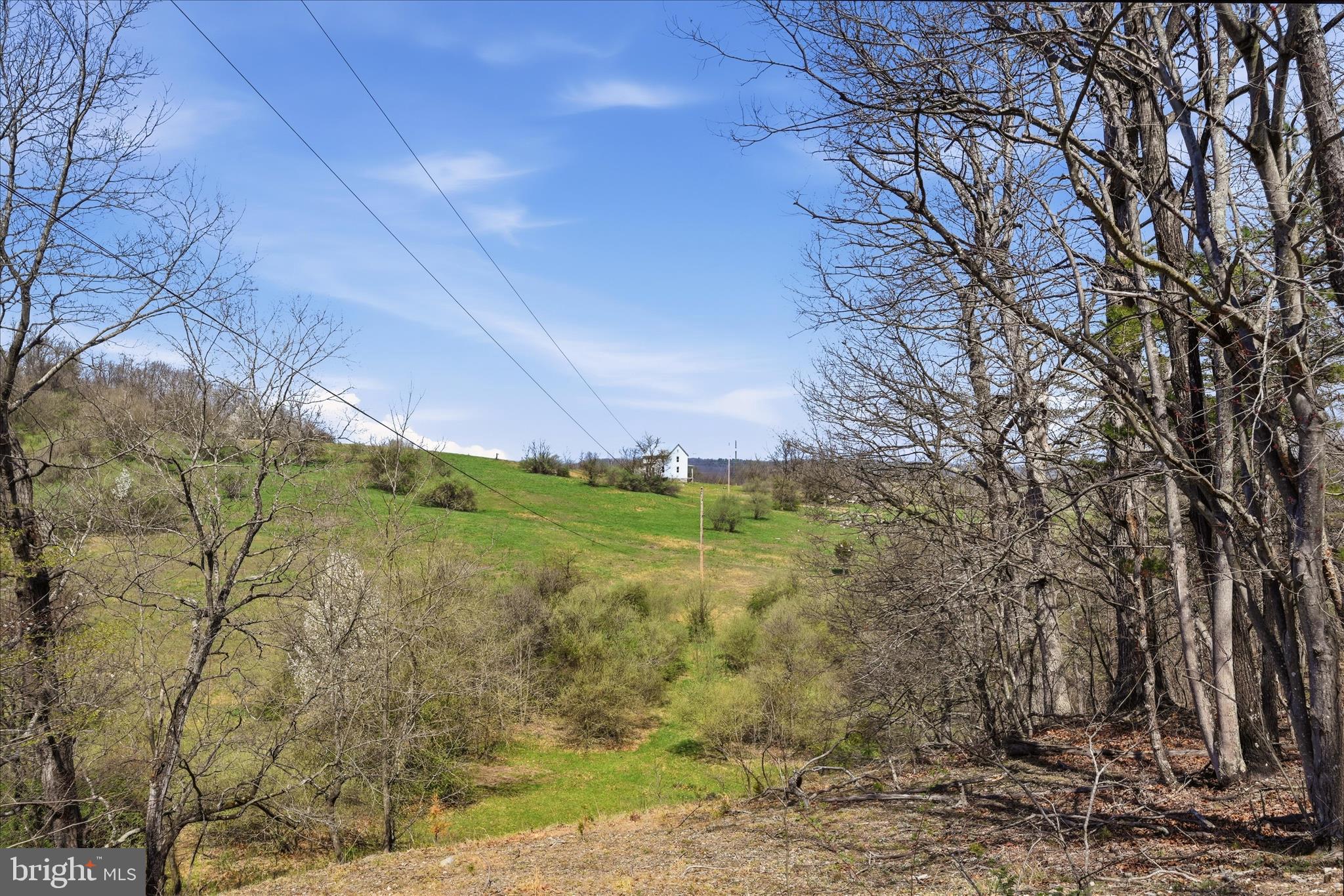 950 Stony Hill Road Winchester, VA 22603 - Photo 20 of 30 a view of a yard