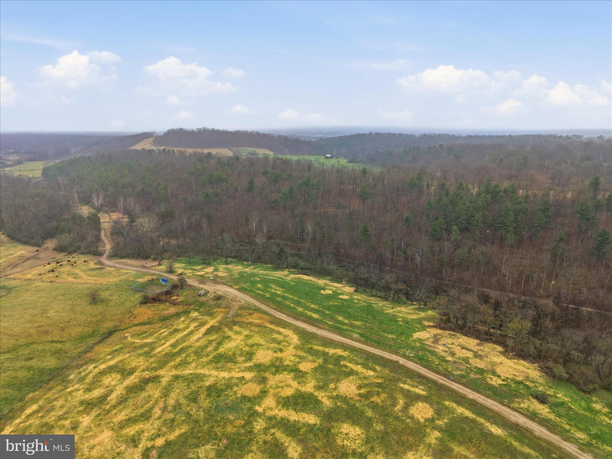 950 Stony Hill Road Winchester, VA 22603 - Photo 24 of 30 a view of a yard