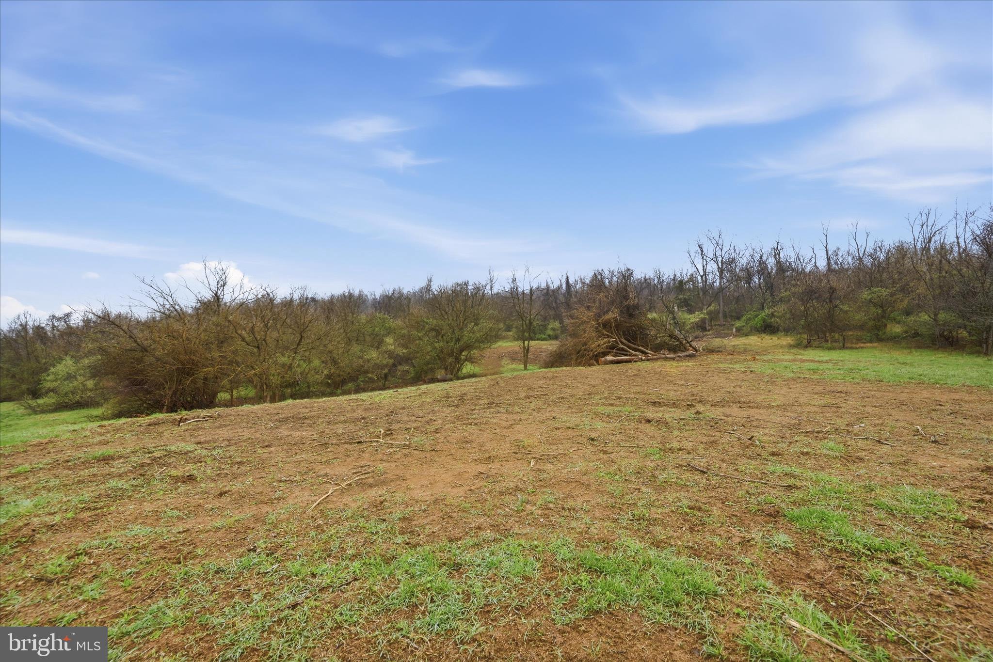 950 Stony Hill Road Winchester, VA 22603 - Photo 6 of 30 a view of an outdoor space and a yard