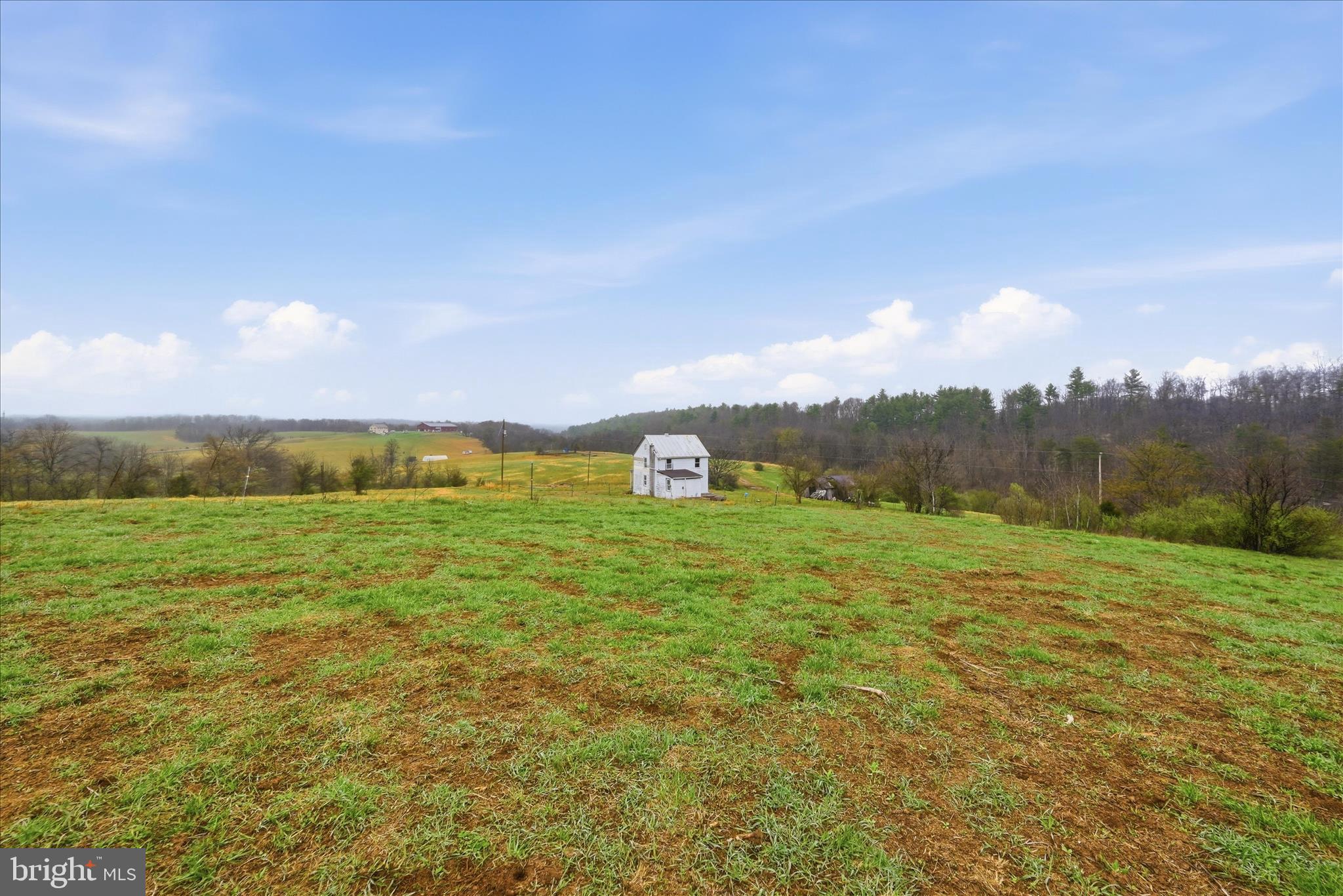 950 Stony Hill Road Winchester, VA 22603 - Photo 8 of 30 a big yard with lots of green space and fog