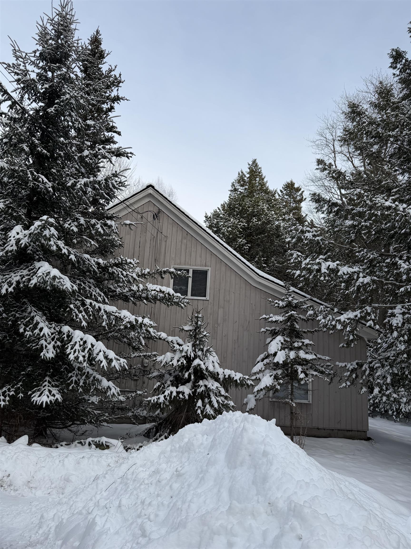 65 Cranberry Hill Road Winhall, VT 05340 - Photo 20 of 23
