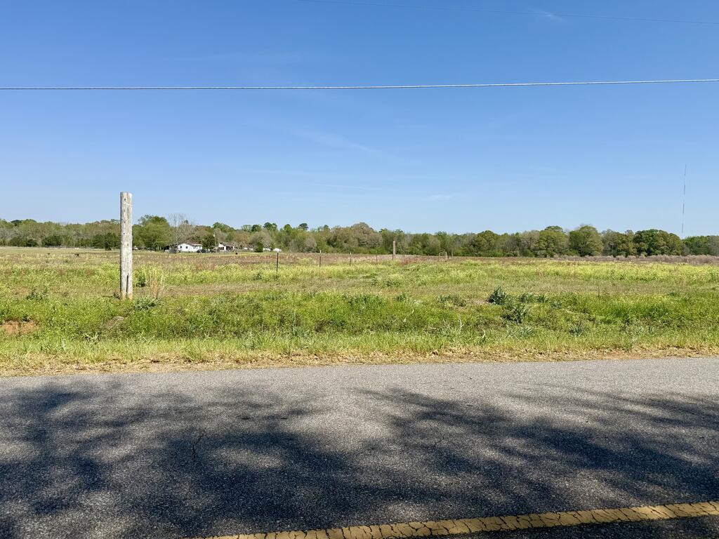 8.53-acres Omussee Road Dothan, AL 36303 - Photo 10 of 10 Gallery Image 10