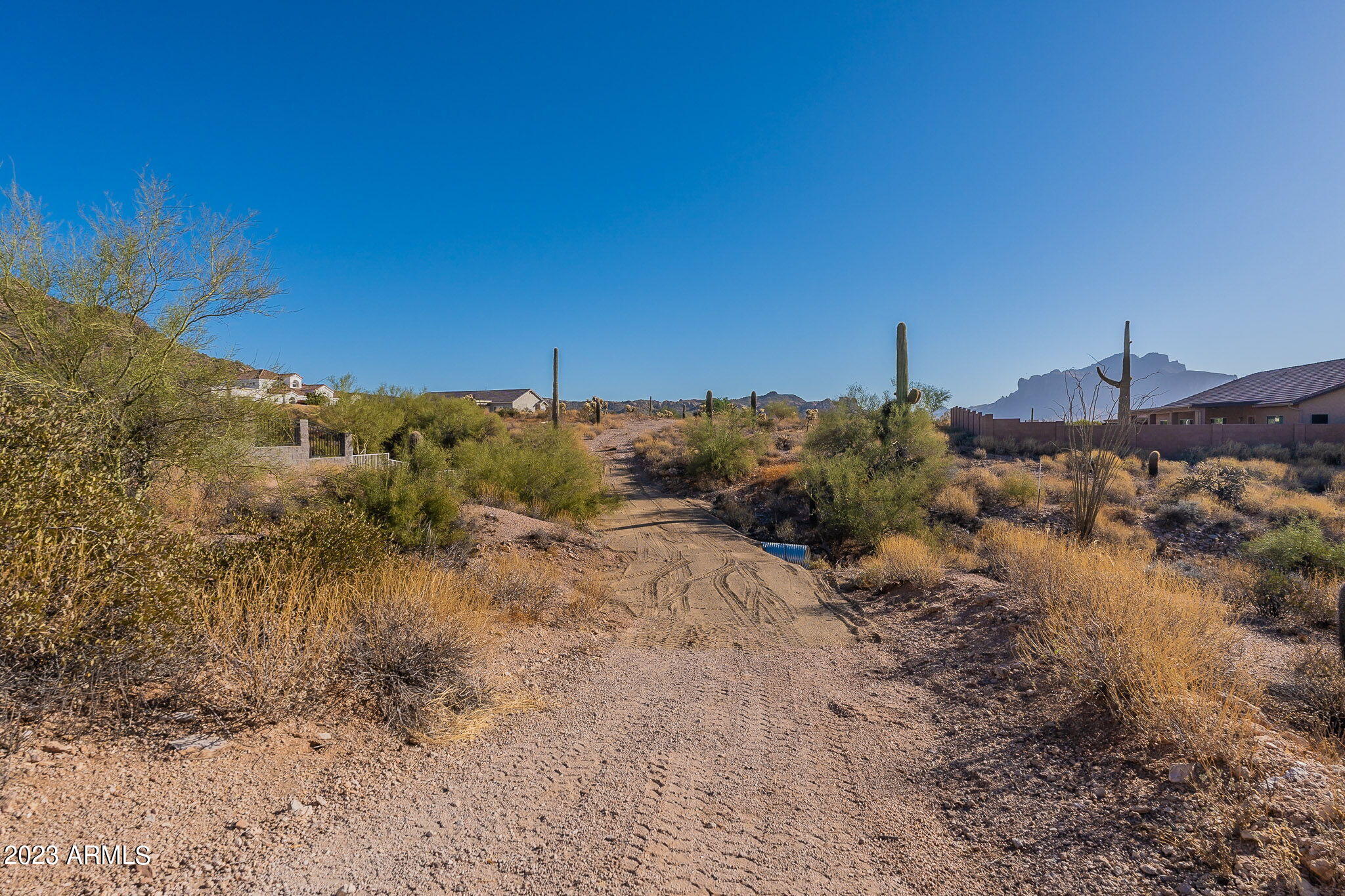 0 North Idaho Road Apache Junction, AZ 85119 - Photo 12 of 24 a view of a dry yard with trees