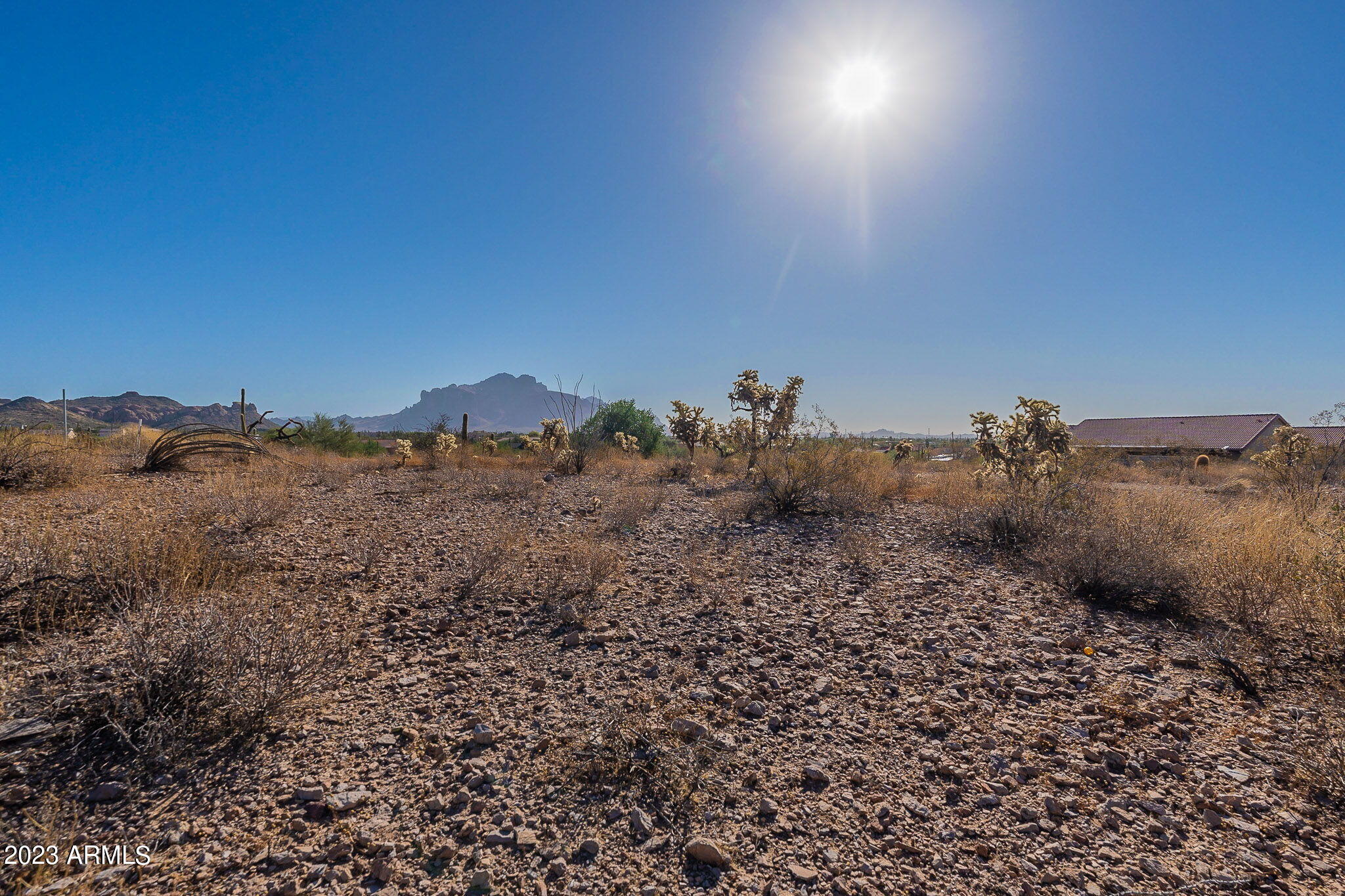 0 North Idaho Road Apache Junction, AZ 85119 - Photo 19 of 24 a view of a dry yard