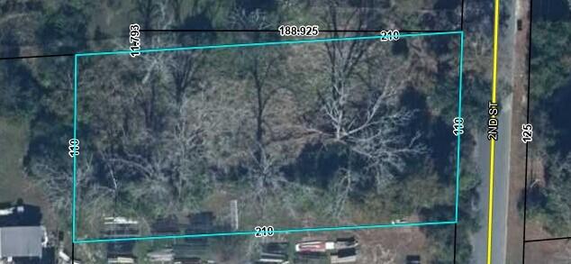 736 2nd Street Chipley, FL 32428 - Photo 3 of 7 a view of a forest from a window