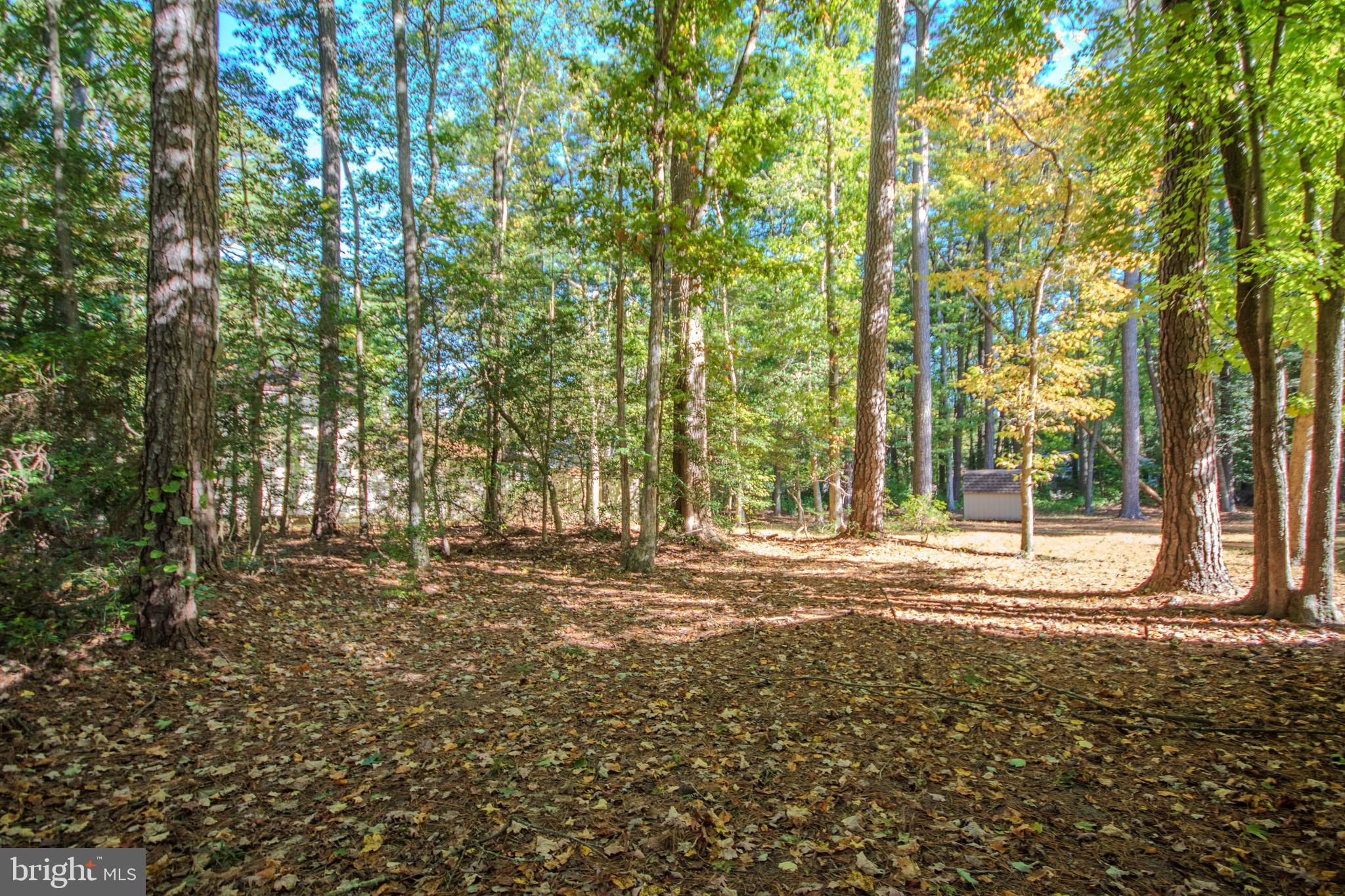 103 Ocean Parkway Ocean Pines, MD 21811 - Photo 32 of 44 a view of a yard with large trees