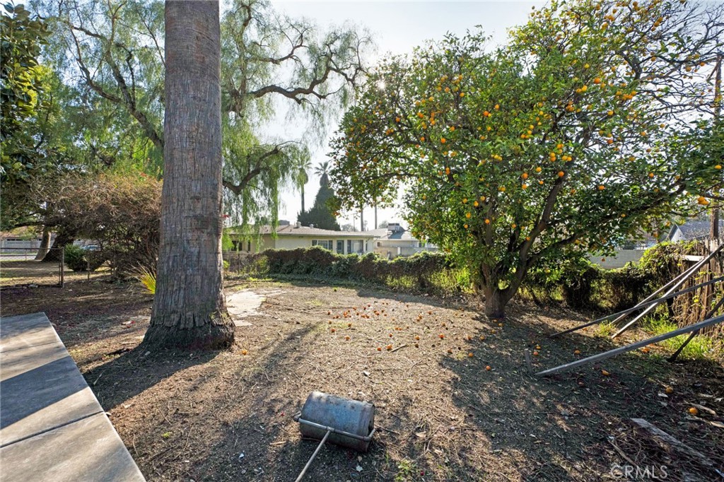 337 West Bennett Avenue Glendora, CA 91741 - Photo 43 of 67 a view of a yard with plants and trees