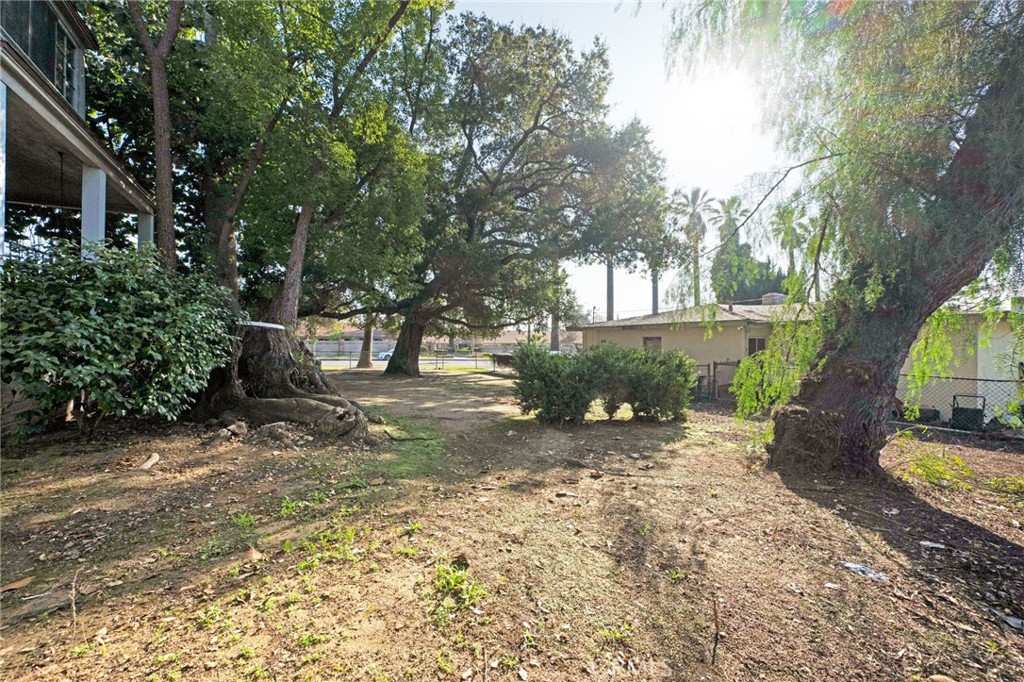 337 West Bennett Avenue Glendora, CA 91741 - Photo 44 of 67 a view of a yard with plants and a large tree
