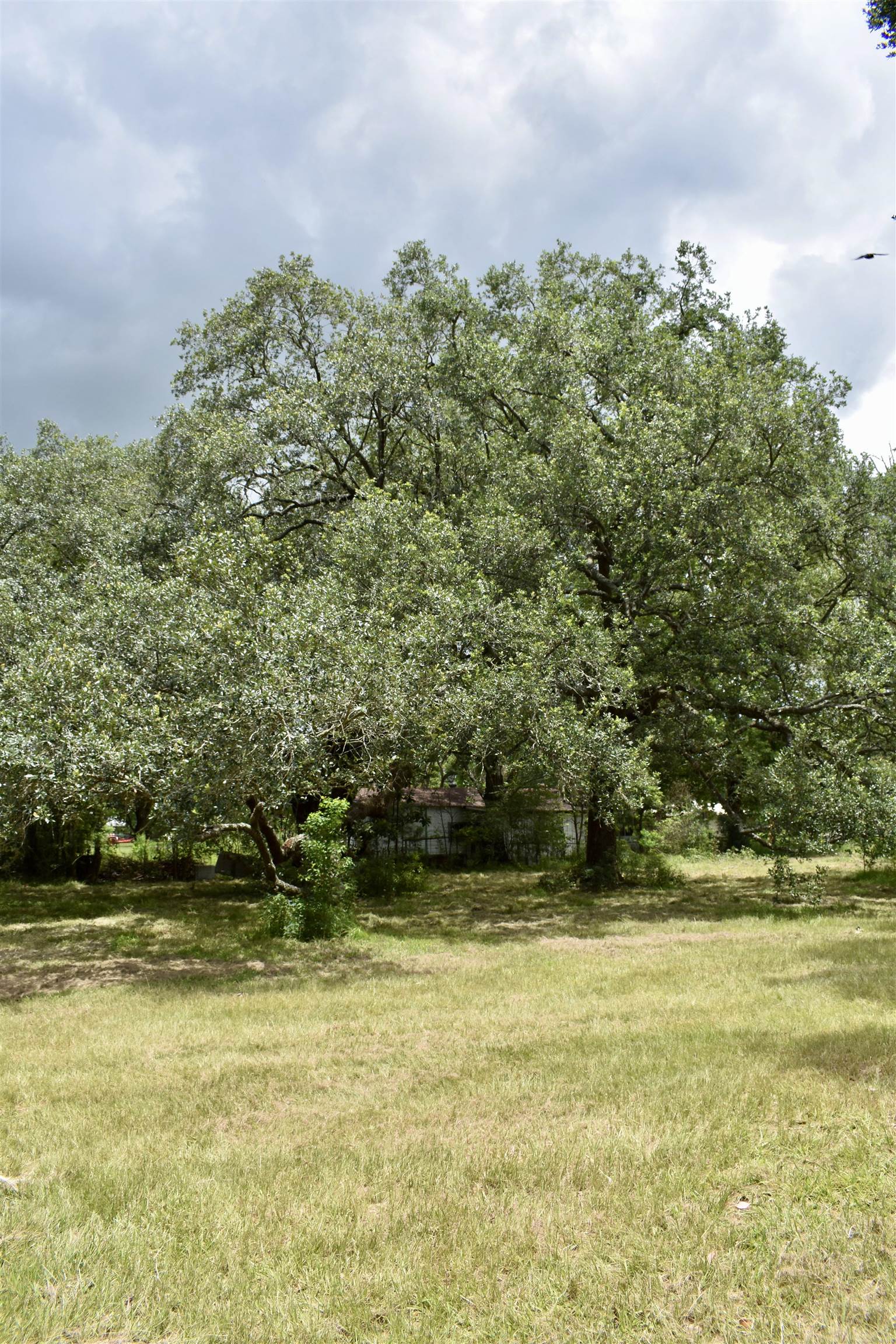 325 Goss Road Orange, TX 77632 - Photo 5 of 32