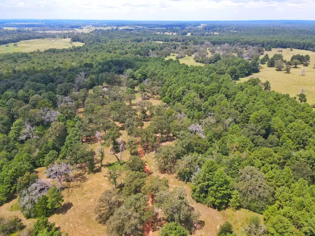 $670,500 | 3832 Cr 145 Centerville Tx 75833, Centerville, TX 75833