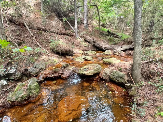 $670,500 | 3832 Cr 145 Centerville Tx 75833, Centerville, TX 75833