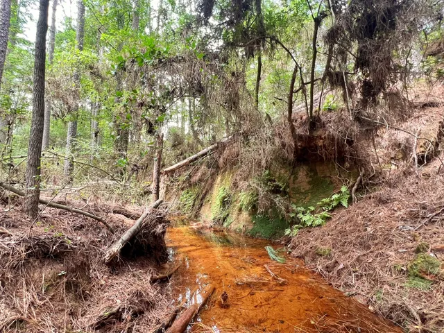 $670,500 | 3832 Cr 145 Centerville Tx 75833, Centerville, TX 75833