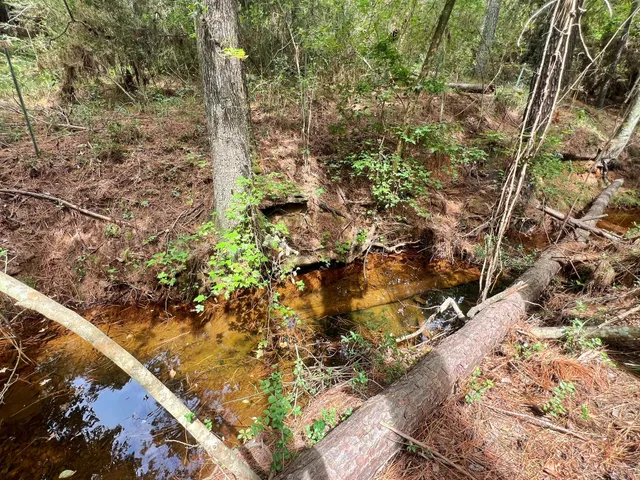 $670,500 | 3832 Cr 145 Centerville Tx 75833, Centerville, TX 75833