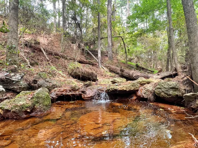 $670,500 | 3832 Cr 145 Centerville Tx 75833, Centerville, TX 75833