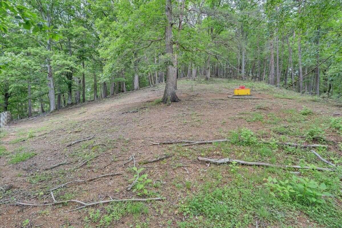 811 Arcadia Road Buchanan, VA 24066 - Photo 39 of 43 39-MIB08853