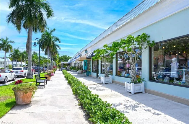 a view of a potted plants on a sidewalk