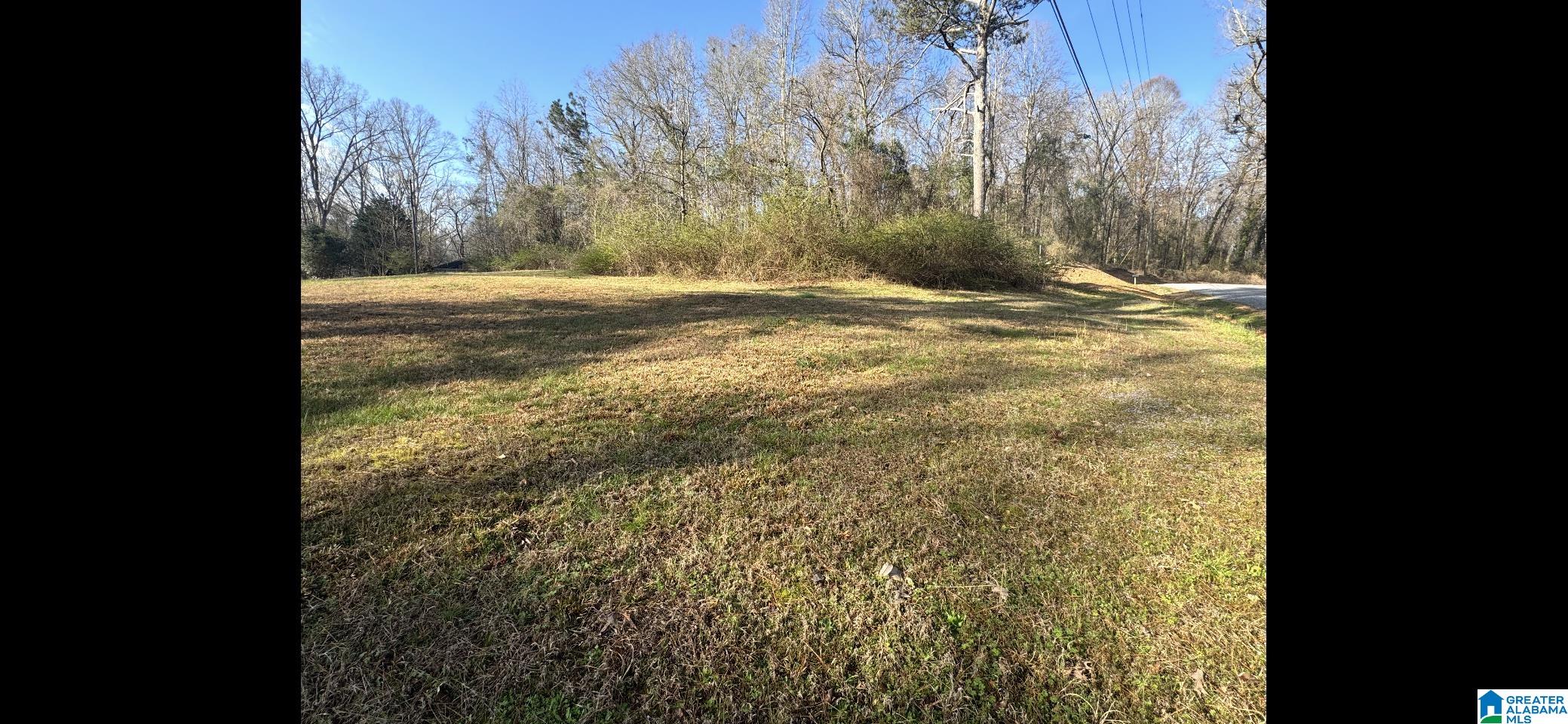 1020 Springhill Road Talladega, AL 35160 - Photo 8 of 40
