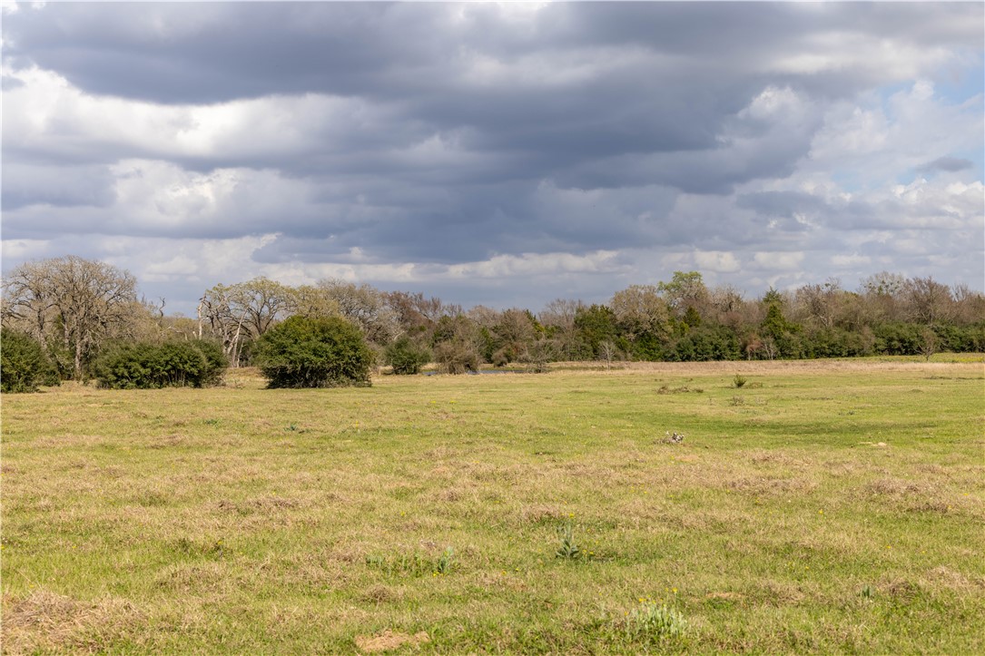 10100 Ferrill Creek Road Bryan, TX 77808 - Photo 16 of 20 a view of an ocean
