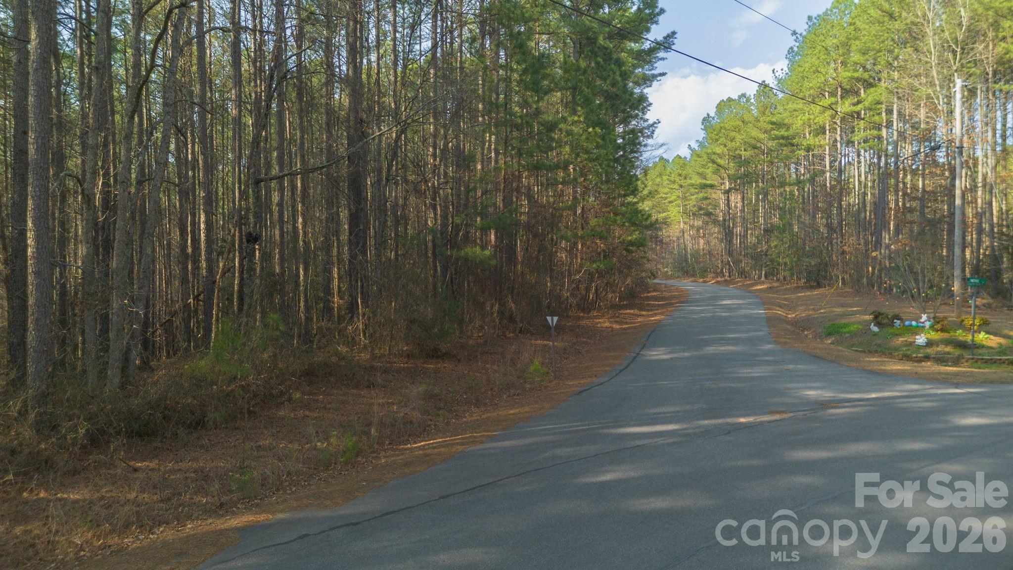 4196 South View Boulevard Morganton, NC 28655 - Photo 11 of 11 a view of a pathway of a road