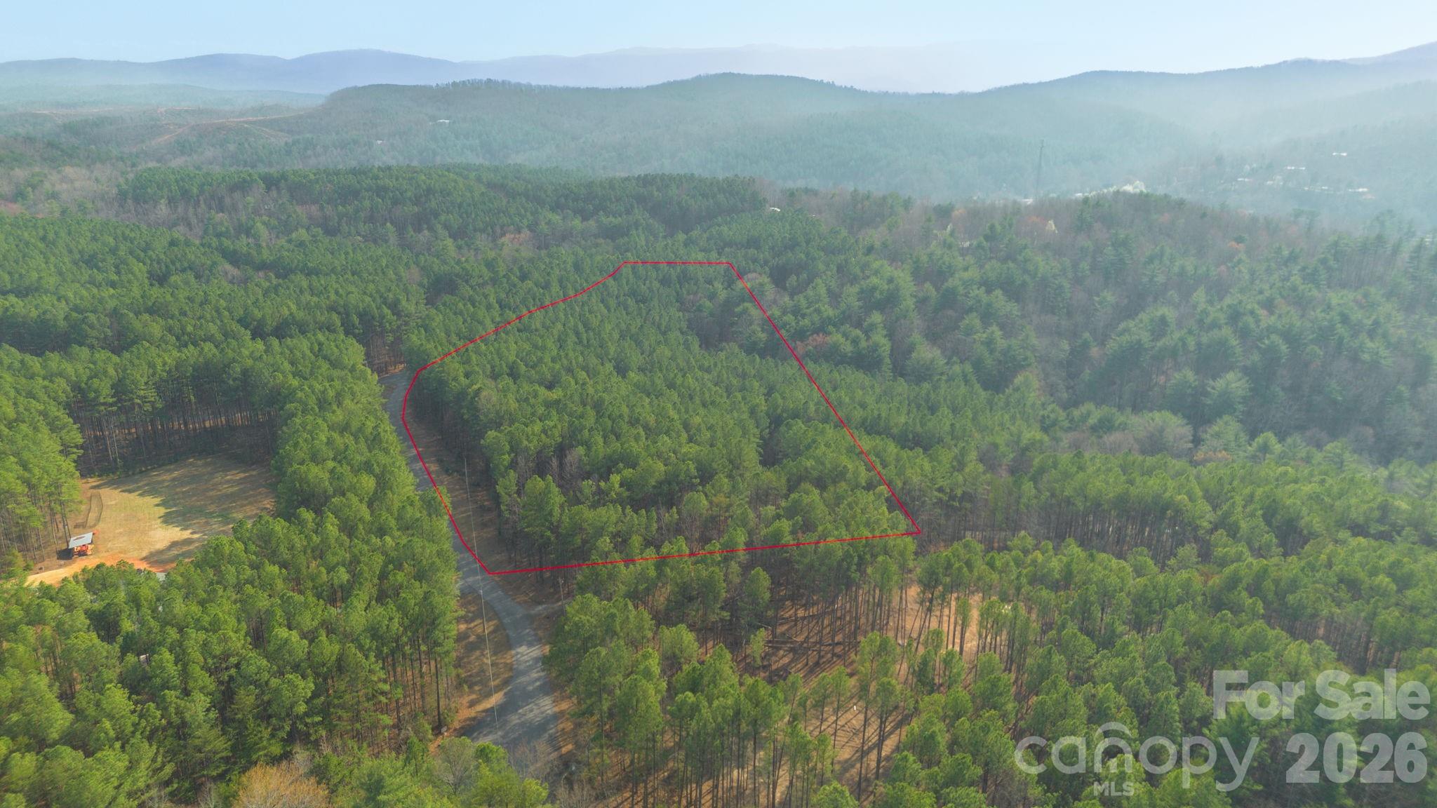 4196 South View Boulevard Morganton, NC 28655 - Photo 4 of 11 a view of a lush green forest with lush green forest