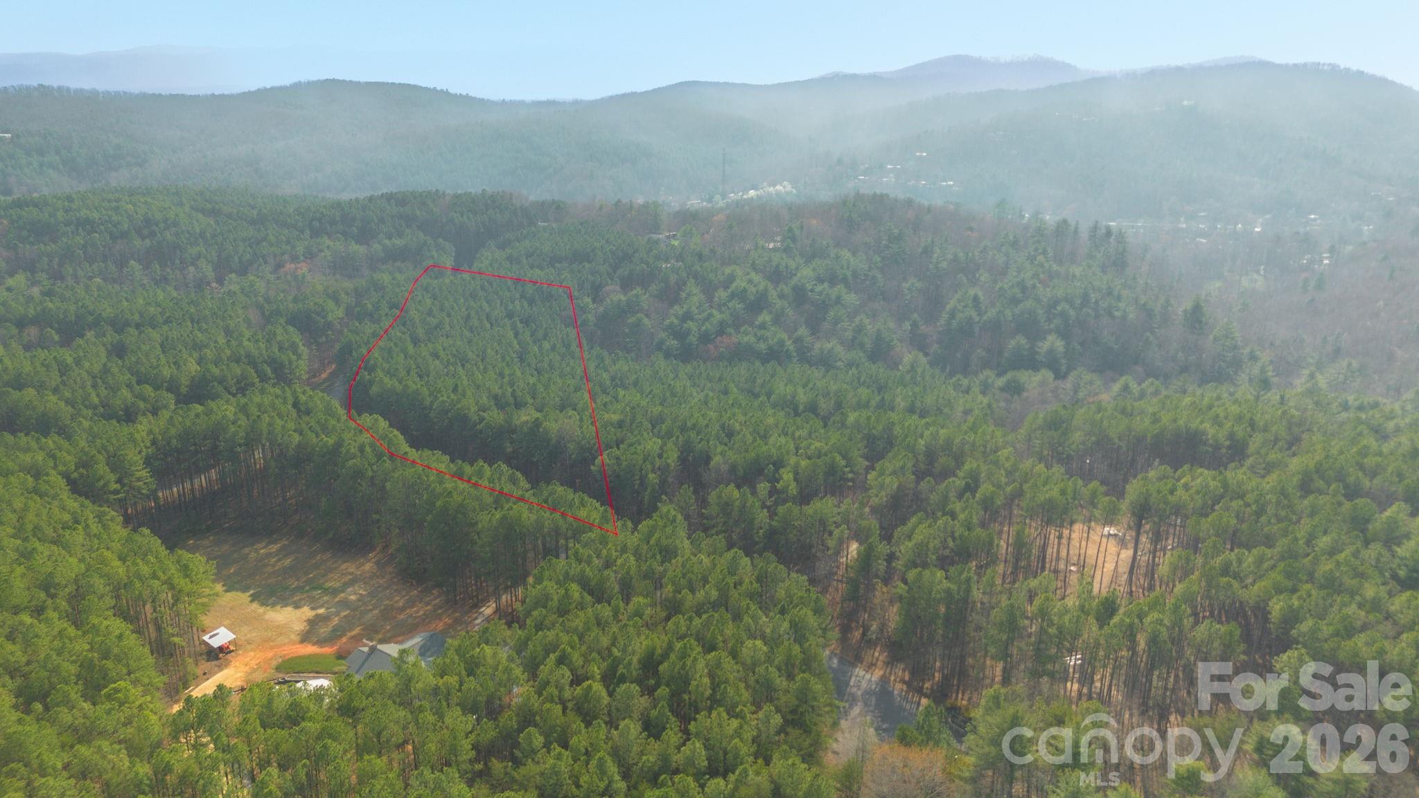 4196 South View Boulevard Morganton, NC 28655 - Photo 5 of 11 a view of a lake in a forest