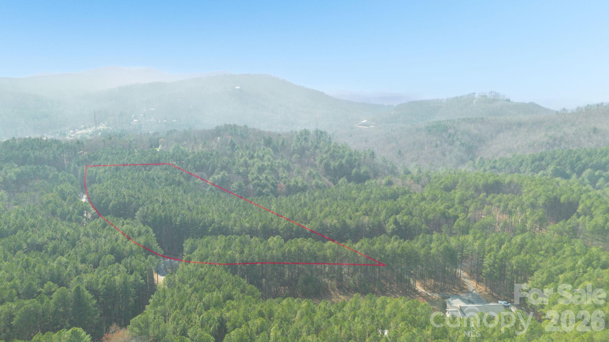4196 South View Boulevard Morganton, NC 28655 - Photo 6 of 11 a view of a lake in a forest