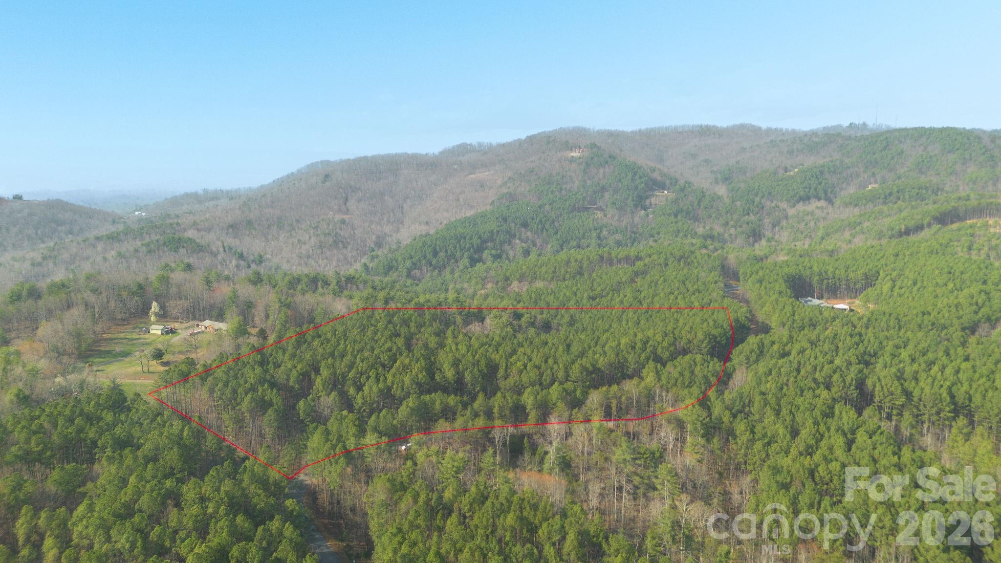4196 South View Boulevard Morganton, NC 28655 - Photo 8 of 11 a view of a lush green forest with trees in the background