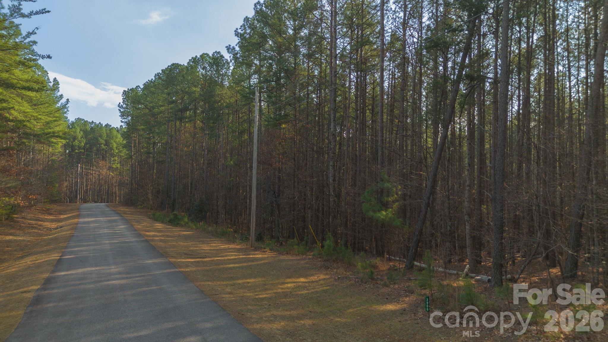 4196 South View Boulevard Morganton, NC 28655 - Photo 10 of 11 a view of a pathway of a park