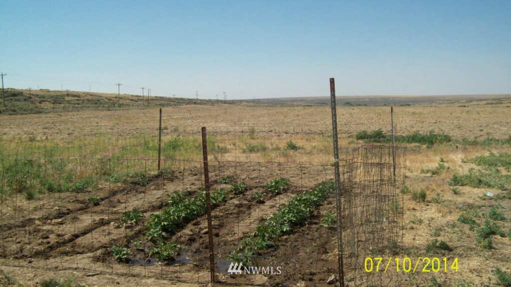 1034 East Lind Ralston Road Lind, WA 99341 - Photo 18 of 18