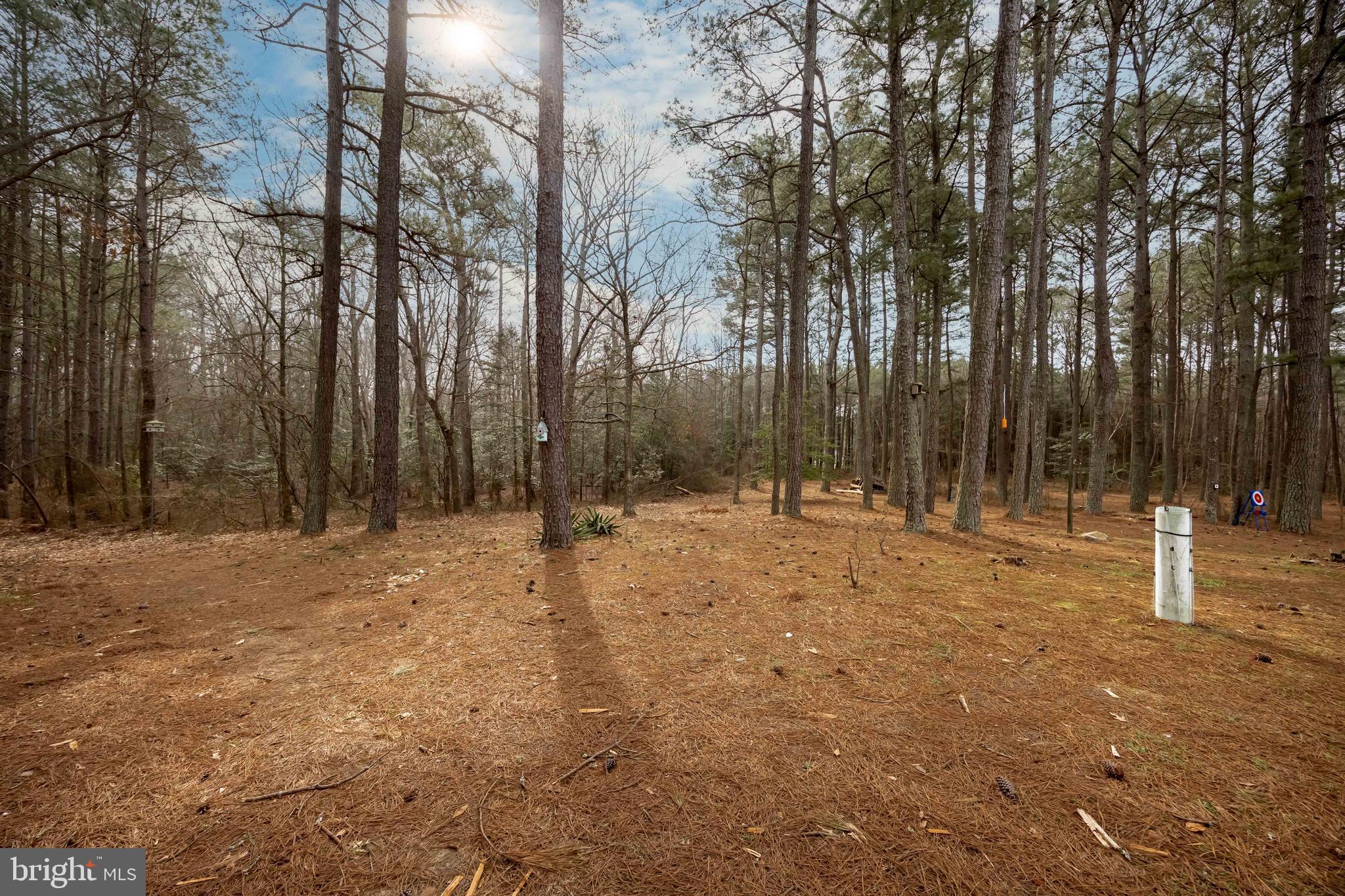 22139 Royal Oak Road Quantico, MD 21856 - Photo 51 of 60 Open Acreage