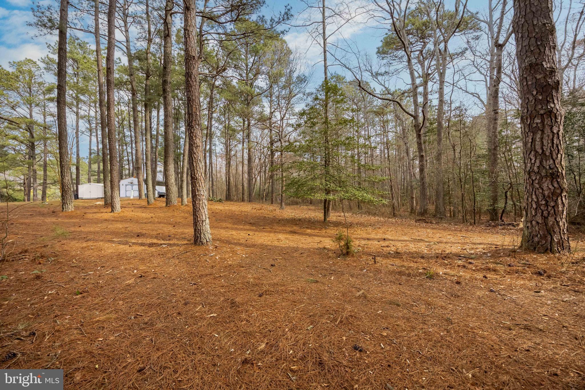 22139 Royal Oak Road Quantico, MD 21856 - Photo 53 of 60