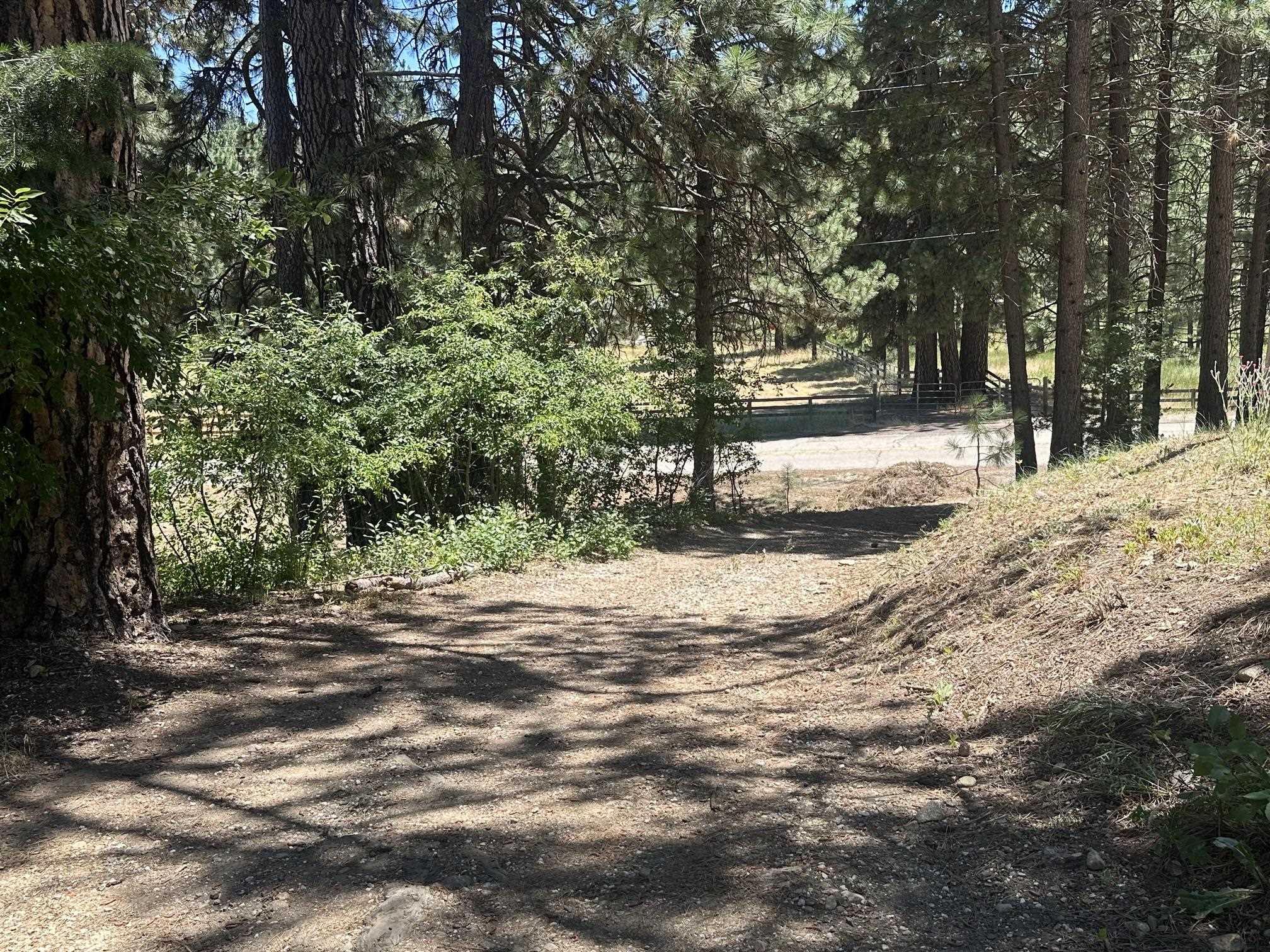 51 Ranch Road Meadow Valley, CA 95956 - Photo 12 of 21
