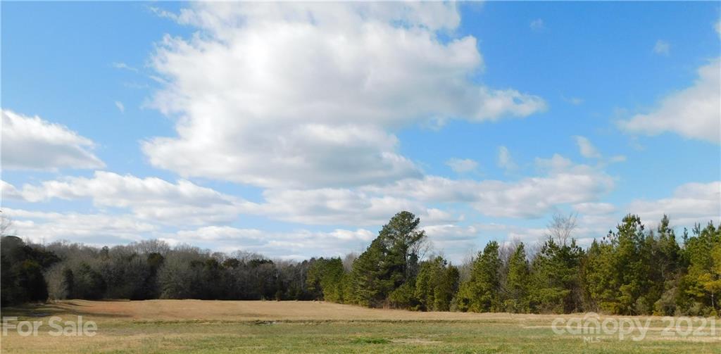 1132 Williamsville Church Road Chester, SC 29706 - Photo 24 of 29 Gallery Image 24