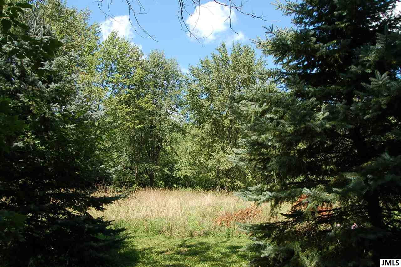 7140 King Road Spring Arbor, MI 49283 - Photo 28 of 30 Photo 28