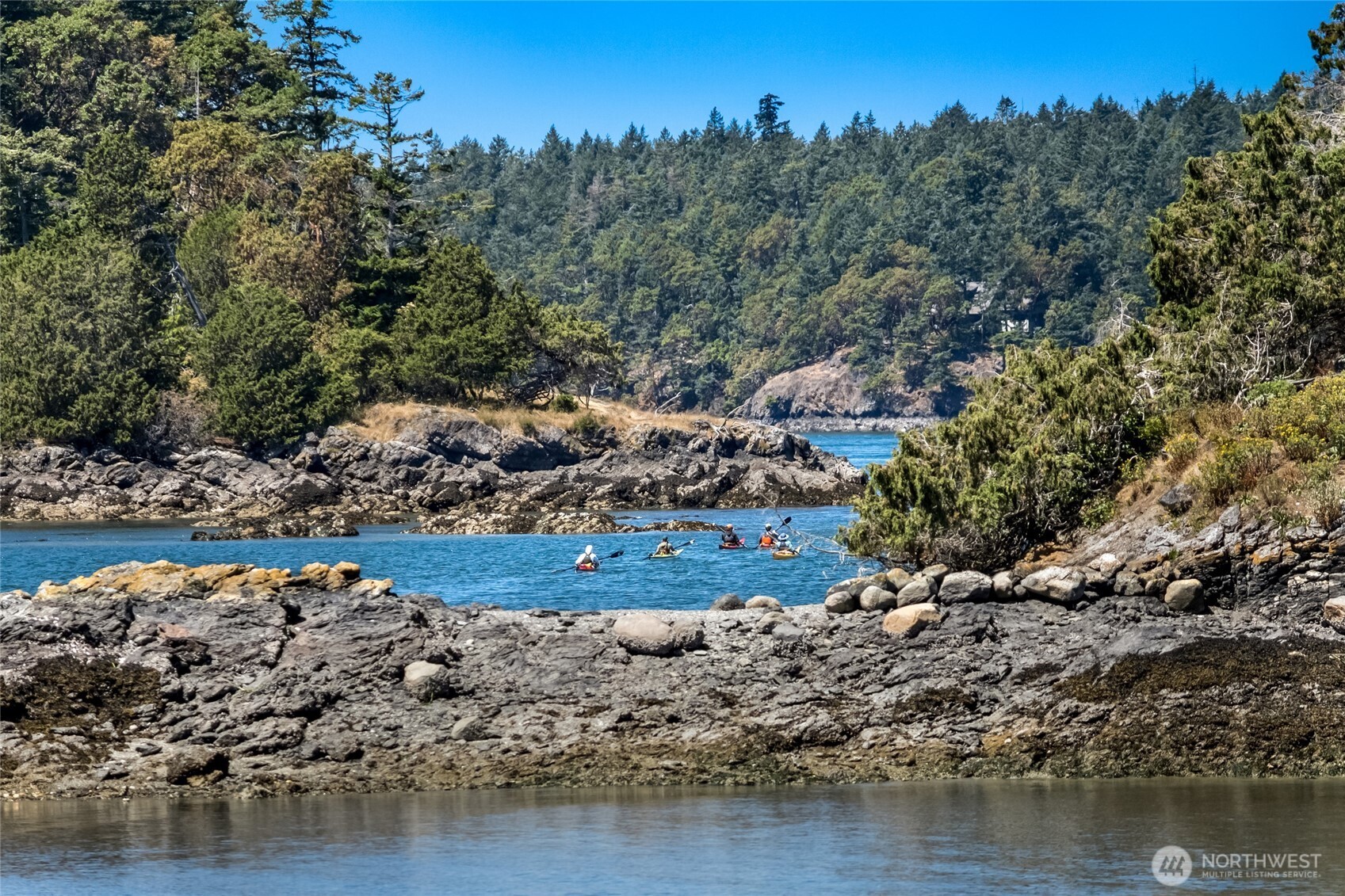 512 Broken Point Road Shaw Island, WA 98286 - Photo 18 of 37