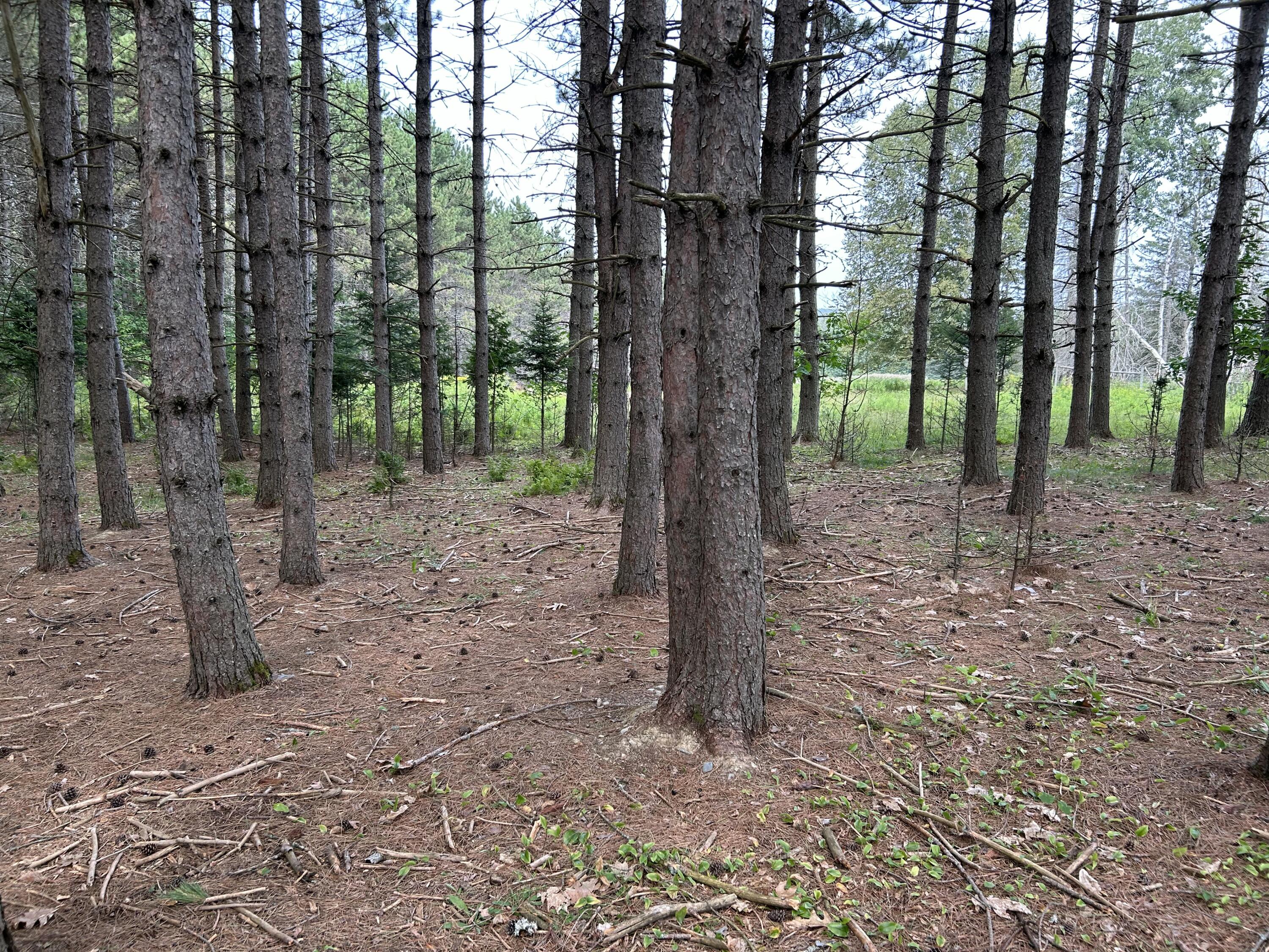 272 E Road New Sweden, ME 04762 - Photo 16 of 41 IMG_9737