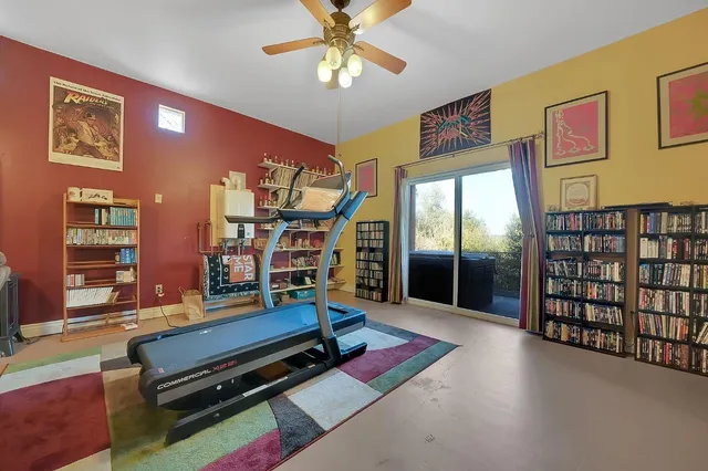 a view of a house with a small yard plants and large tree