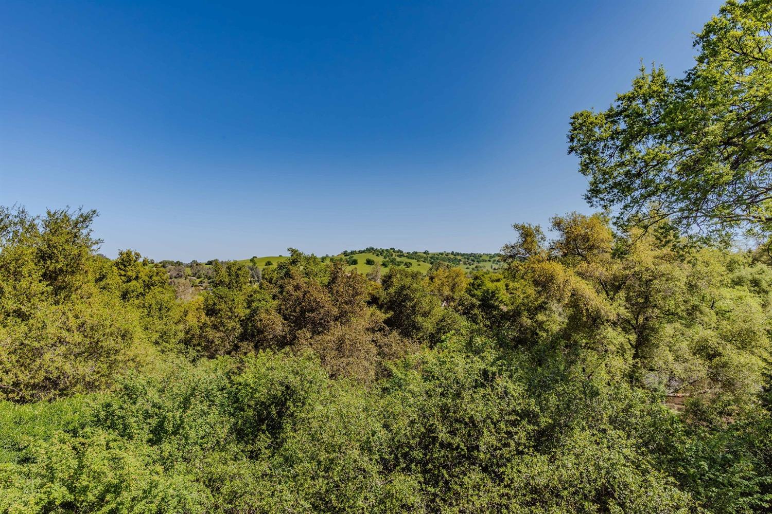 125 Raylan Drive Sutter Creek, CA 95685 - Photo 60 of 79