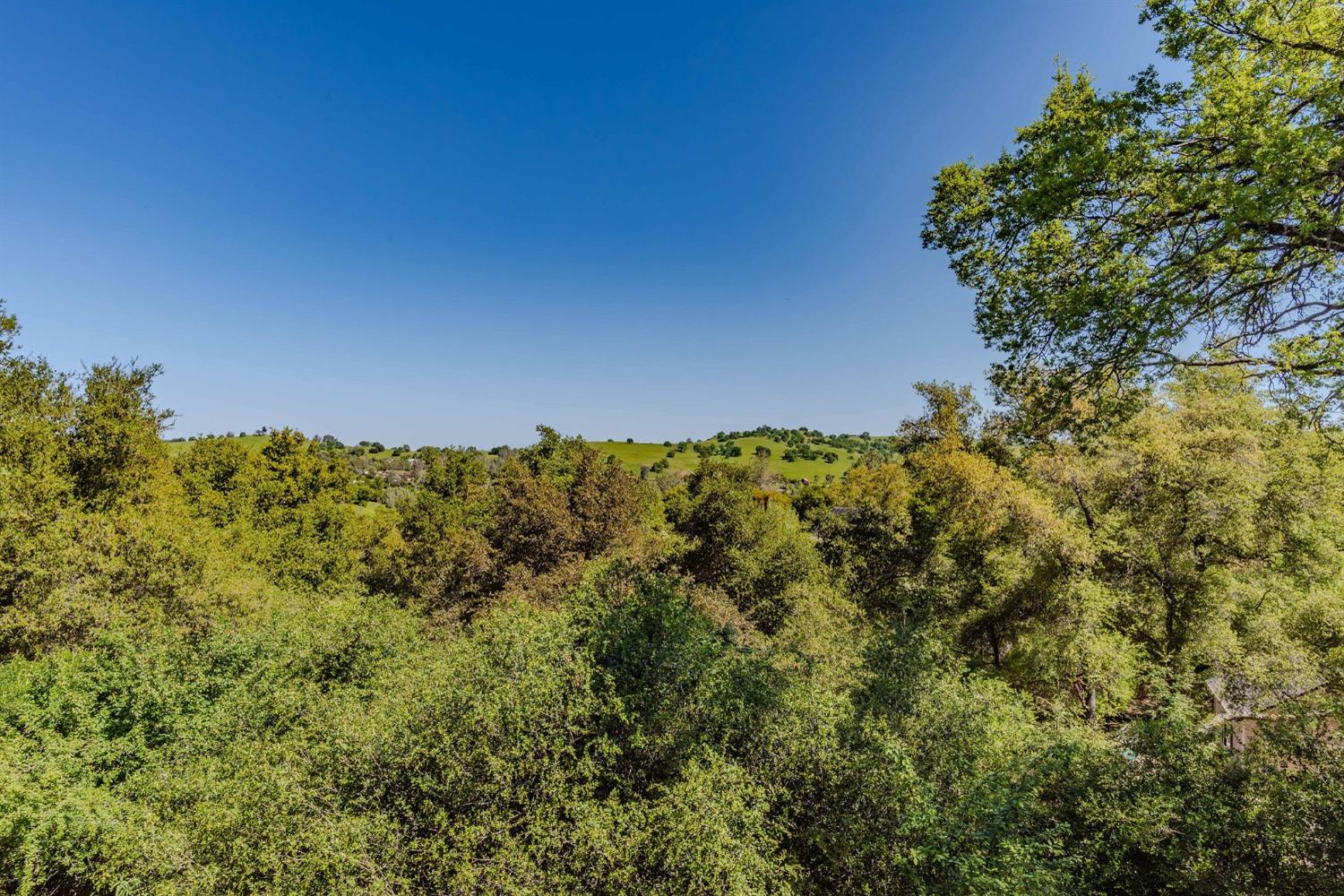 125 Raylan Drive Sutter Creek, CA 95685 - Photo 9 of 79